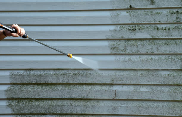 Best Sidewalk and Walkway Cleaning  in Carver, MN