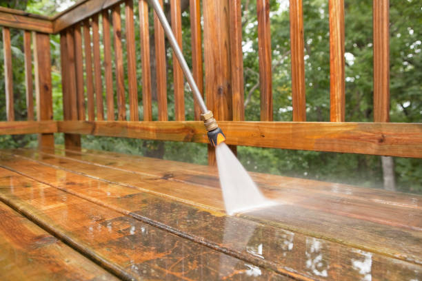 Best Fence Cleaning  in Carver, MN